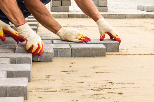 Best Driveway Paving Contractor  in Halls, TN